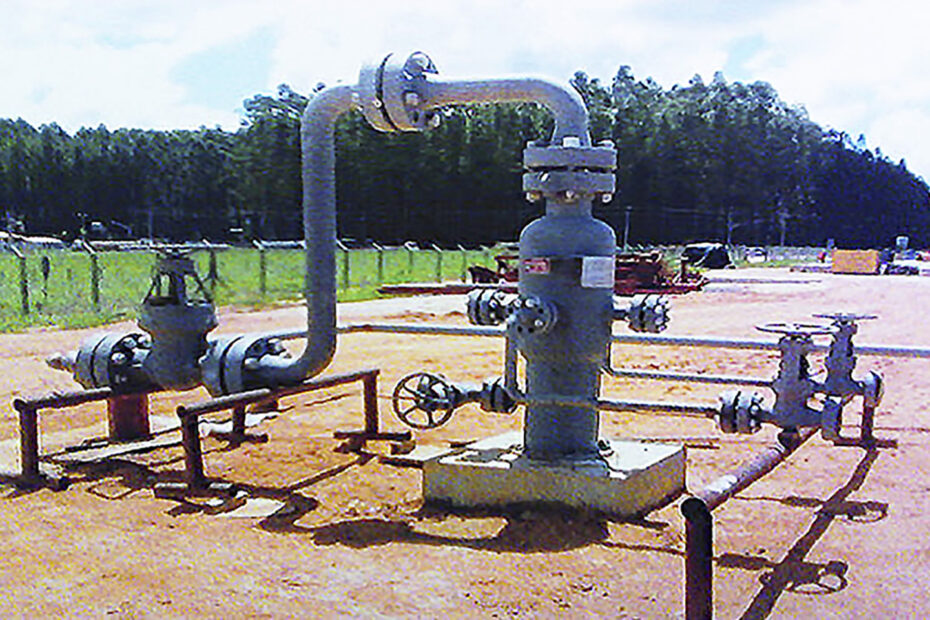 DAN-SQUID 2 Phase Steam Distribution System